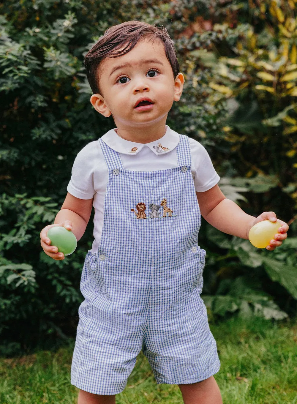 Baby Alexander Bib Shorts in Blue Gingham